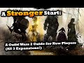 A Stronger Start: A Guild Wars 2 Guide for New Players 2022 (comedy/guide) - All 3 Expansions