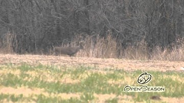 Whitetail Deer Hunting with CVA and Open Season