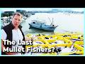 Kaohsiung’s Last Mullet Fish Boats! | EP70 | Happy Fisherman