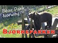 Bjørneparken i Flå - All major attractions in 9 minutes