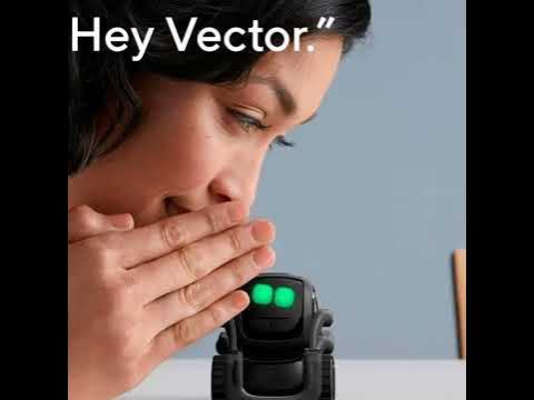 Vector Robot by Anki, A Home Robot Who Hangs Out & Helps Out For facial  recognition, With  Alexa Built-In For 5-99 Years