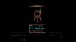 Lorentz Force on a DC Coil | Visualizing Current, Magnetic Field & Force Vectors