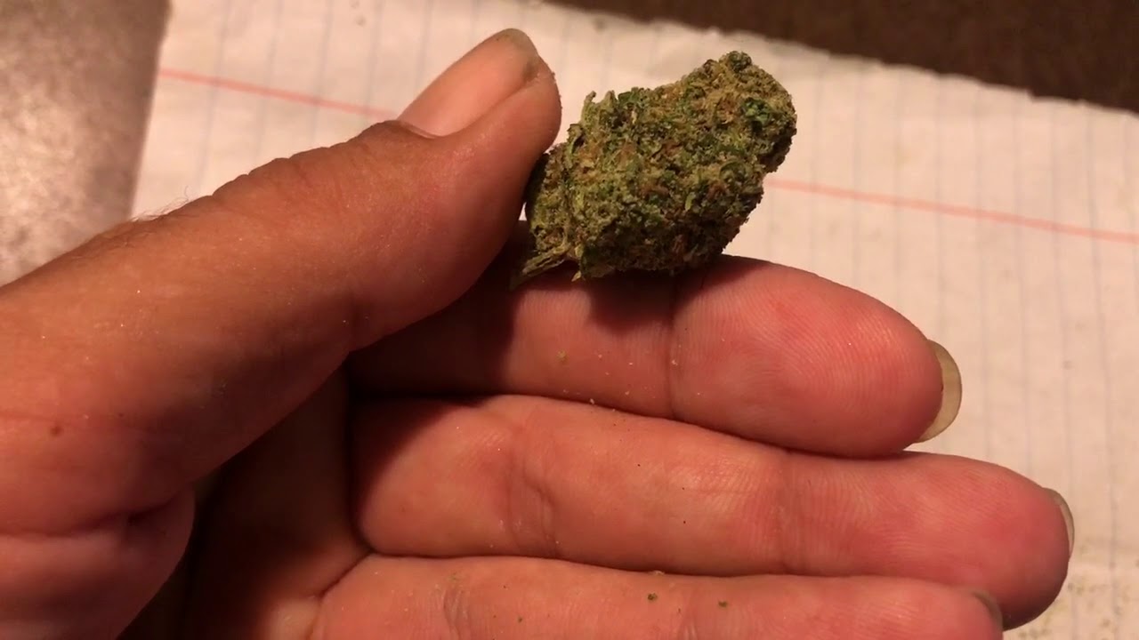 Growhealthy White 99 Hybrid Flower Review (Goodbye To KCO ) Florida Mmj