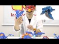 【LaQ商品情報】ダイナソーワールド ステゴサウルス