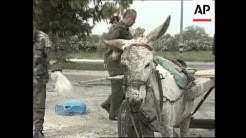 Israel/Gaza - Palestinian suicide bombers