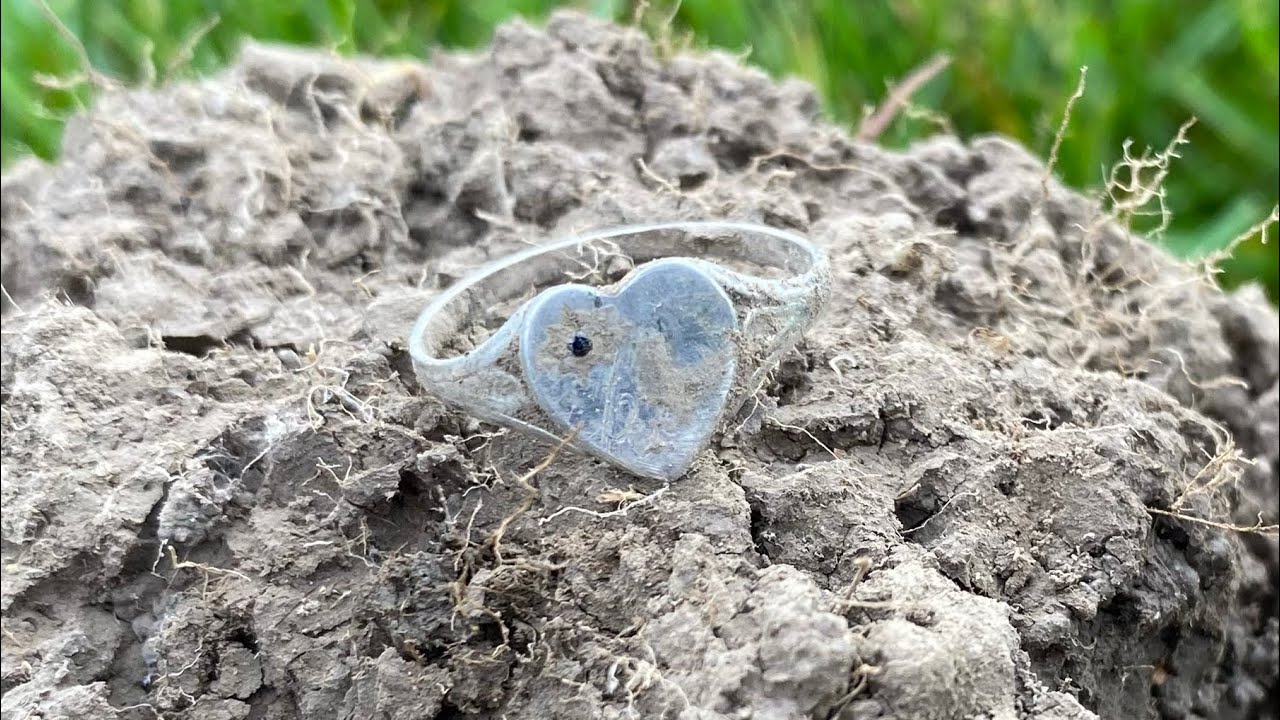 Metal Detecting Nz: New Spot with unexpected silver.