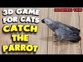 3D game for cats | CATCH THE PARROT (isometric view) | 4K, 60 fps, stereo sound