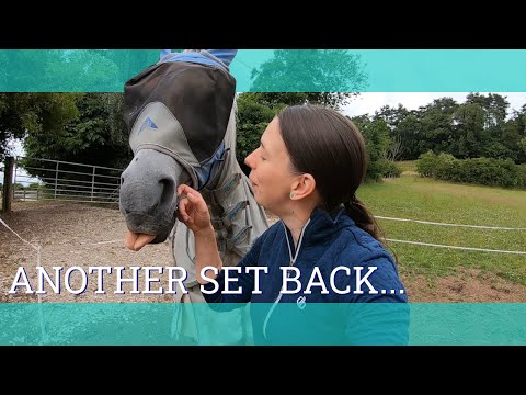 Training round-up - Endurance horse training for 80km - Vlog 137 - Beth