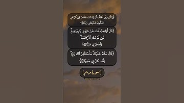 سورة مريم الآية ٤٥ الى ٤٧ بصوت الشيخ محمد صديق المنشاوي
