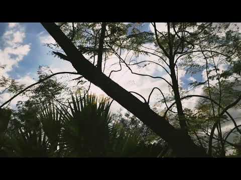 اغنية Edith Piaf تصميم لا اندم على شيء