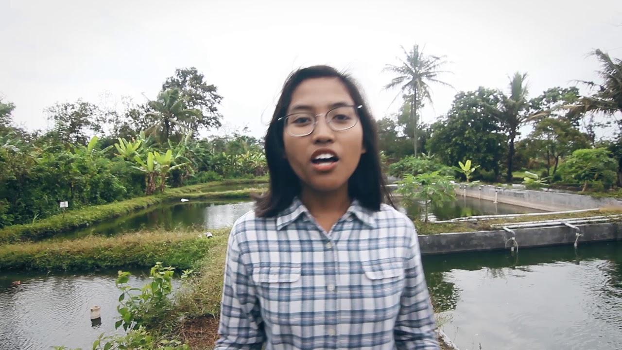 I-Fish trough Microbubble and Connectivity to tackle land availability problem faced by Indonesia's local fish farmers.