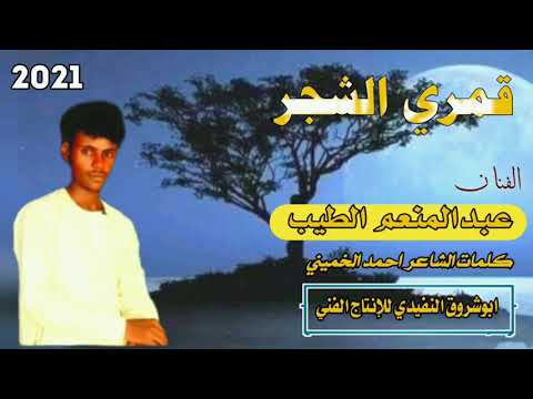 الفنان عبدالمنعم الطيب ودالقبة قمري الشجر كلمات الشاعر احمد الخميني