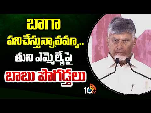 బాగా పనిచేస్తున్నావమ్మా.. తుని ఎమ్మెల్యేపై బాబు పొగడ్తలు | CM Chandrababu Praises MLA Yanamala Divya - 10TVNEWSTELUGU