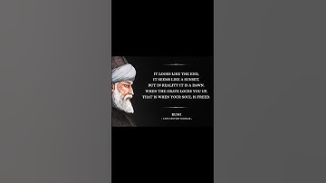Rumi ~ "Suffering is a gift. In it is hidden mercy" #shorts #quotes #viral