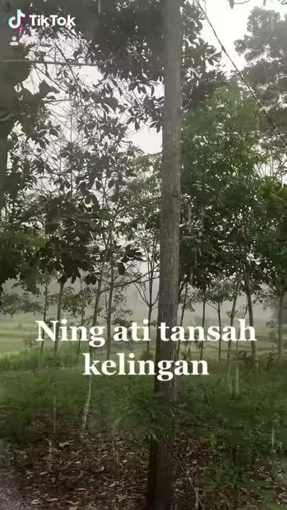 STORY WA GALAU TERBARU || PUTUS CINTA || TIK TOK GALAU