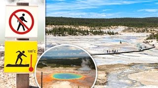 Yellowstone National Park Man dies after falling into hot spring