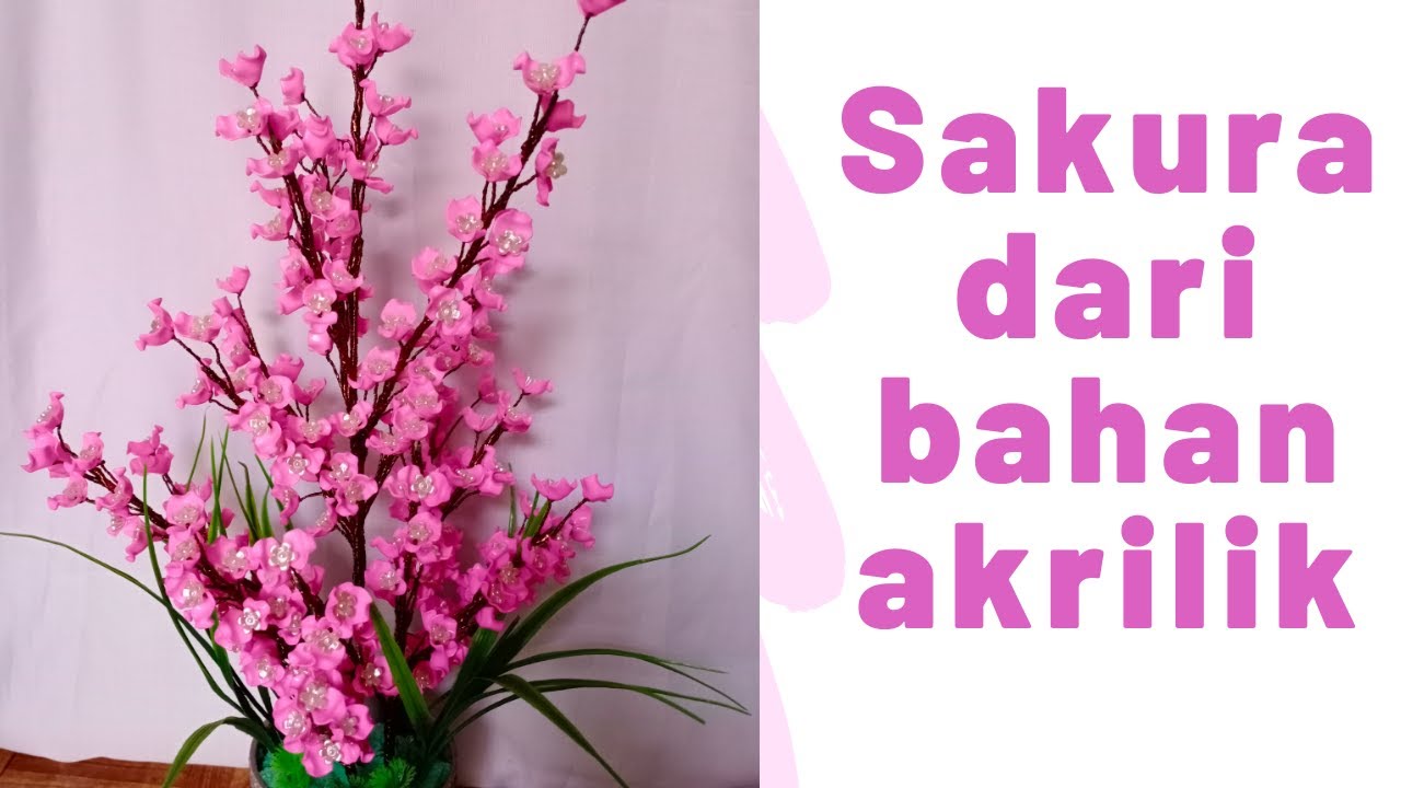  CARA  MEMBUAT  BUNGA  SAKURA  DARI  BAHAN AKRILIK YouTube