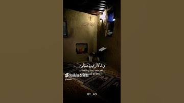 سورة الزمر | القارئ ماهر المعيقلي 🌼 (اكتب شي تؤجر عليه)