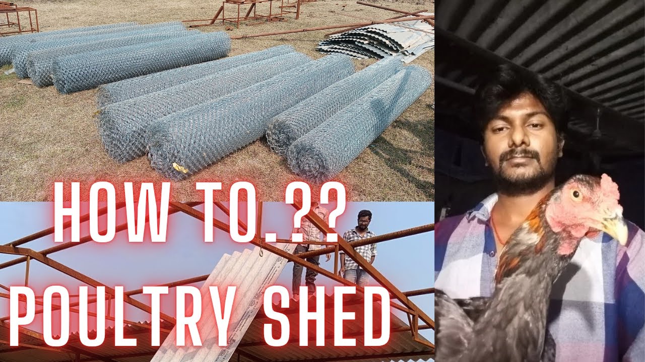 How To Build The Perfect Poultry Shed (Tutouial)