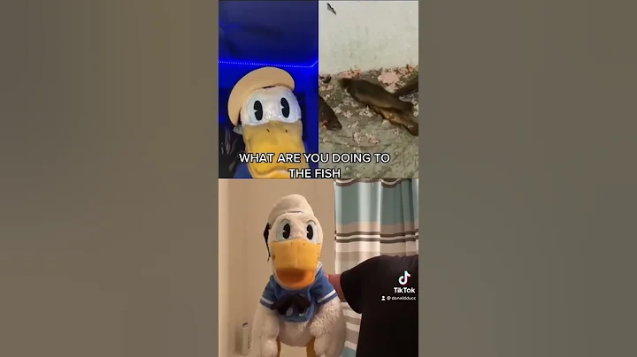 Donald Duck is upset with Donald Duck #shorts