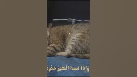 تلاوه هادئة ،ما تيسر من سورة المعارج بصوت القارئ الشيخ محمد البنا رحمه الله