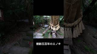 高千穂「旅するチャピーのパワースポット散歩 vol．2」