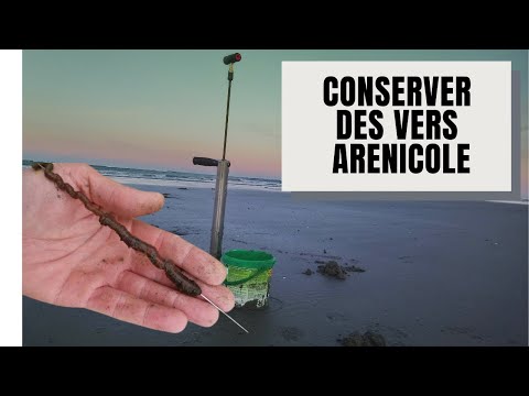 Vidéo: Comment garder les vers pour les appâts de pêche : 8 étapes