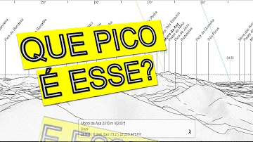 Quais as características do Pico da Neblina?