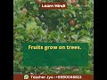 Learn Hindi Fruits Grow On Trees Shorts Zedxhindi Edxhindi Shorts Short Learn Hindi Fruits Grow On Trees Shorts Zedxhindi Edxhindi Shorts Short