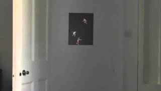 Playful Reflection installation in studio