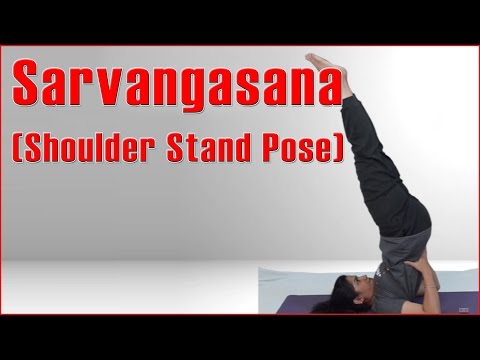 Ashtanga Yoga : SARVANGASANA (SHOULDER STAND POSE) & Its Benefits