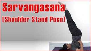 Ashtanga Yoga : SARVANGASANA (SHOULDER STAND POSE) & Its Benefits