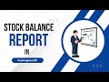 Stock Balance Report in TechCognics ERP | TechCognics ERP