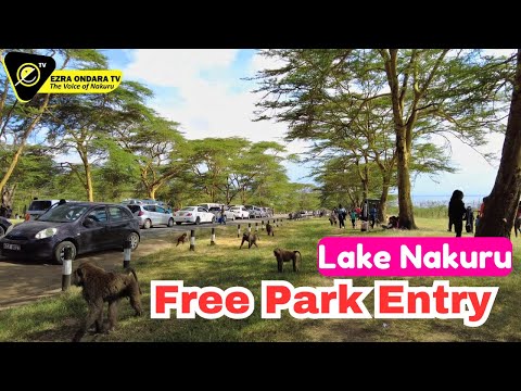 Video: Nakuru ezera nacionālais parks: atrašanās vieta, apraksts, foto