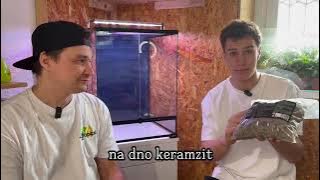 Jak založit terárium pro Pagekony řasnanté ...