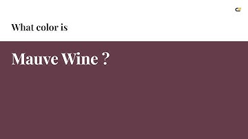 Mauve Wine color #653c4a hex color - Red color - Cool color 653c4a