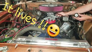 our budget Ford 351w solid roller  engine is alive!!!! by BLUE OVAL DUDE 2,524 views 2 years ago 2 minutes, 52 seconds