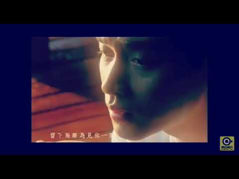 怪你過份美麗 張國榮