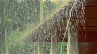 5 HOURS of RAIN SOUND to help you relax, sleep, study and relieve STRESS.