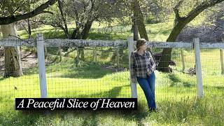 A Peaceful Slice of Heaven | Could You Live Here? Over 50 Over 60
A Peaceful Slice of Heaven | Could You Live Here? Over 50 Over 60
https://PrettyOverFifty.com for more Makeup, Skincare & Lifestyle!
Beauty Newsletter S U B S C R I B E ! ➙ https://bit.ly/PrettyWeekly
Amazon Store https://www.amazon.com/shop/prettyoverfifty
My Other YouTube Channels:
Journey to the New Earth https://www.youtube.com/@JourneytoTheNewEarth
Studio Kimberly https://www.youtube.com/@StudioKimberly
Products Mentioned:
Window Bird Feeder https://amzn.to/4rsmOIp
Face Brush https://amzn.to/4rzKDOK
Face Tool https://amzn.to/40wtPNu
Family Friendly Farms https://www.familyfriendlyfarms.com/
Tuning Forks - 432 https://purefrequencies.com/kimberly 10% discount
Virtual Assistant Class https://booked-out-va.teachable.com/p/bookedoutva
*Use code Pretty for $100 off*
Cares Email - care@caremastin.com
❈ ❈ ❈ ❈ ❈ ❈ ❈ ❈ ❈ ❈
❤ MY FAVORITE THINGS ❤
C60 Power https://go.shopc60.com/5J4BBT/J8P3N/
Amazing results for under eye wrinkles!
*Use Code POF10 for 10% off your order
MITO RED LIGHT (my favorite at home device for anti aging and good health)
https://www.mitoredlight.com/PRETTY
Use Code PRETTYOVERFIFTY for a 5% Discount
My Unit: MITO Pro 750
CBDistillery (my favorite for relaxation & better sleep)
CBDistillery https://tidd.ly/460TD7C
*Use code PRETTY25 for 25% off!*
Nebulyft at Home Radio Frequency (tightens and firms the skin)
https://mynebulyft.kckb.st/prettyoverfifty
*** Use Code NEBU-PRETTYOVERFIFTY for 5% Off Your Purchase!
MyoLift - True Microcurrent Device (lift the face)
www.7ewellness.com/pretty
**Use code: Pretty for Your Discount!**
https://www.getjupiter.com/share/prettyoverfifty
**Use code PRETTY10 for Your Discount!**
ION (for gut health, improves bloating and puffiness)
ION Skin Support https://bit.ly/46T34GD For 15% Off ION* Products, Use Code PRETTYOVERFIFTY
ION Biome https://bit.ly/46TNSsM For 15% Off ION* Products, Use Code PRETTYOVERFIFTY
Haielle Haircare (keeps my color treated hair soft and shiny)
https://www.haielle.com/?ref=19
**Use Code PRETTY10 for 10% off your purchase
Rebounder - Leaps & Rebounds (10 minutes a day!)
Use Link for 10% Discount: https://leapsandrebounds.com/discount/PRETTY10
BIRCH BOYS CHAGA (great for immune support)
My favorites are the Lions Mane & ChagaNOW
https://birchboys.com/ ***Use Code PrettyOverFifty for 10% Off Sitewide
❈ ❈ ❈ ❈ ❈ ❈ ❈ ❈ ❈ ❈
INSTAGRAM/TWITTER/FB ➙ @PrettyOverFifty *FOLLOW ME!*
BLOG: http://www.prettyoverfifty.com/
INSTAGRAM: https://www.instagram.com/prettyoverfifty/
➙ Visit us at http://www.prettyoverfifty.com/
❈ ❈ ❈ ❈ ❈ ❈ ❈ ❈ ❈ ❈
FTC DISCLAIMER ➙ This video is NOT sponsored. Links are affiliate links. If you click a link and buy something, I receive a commission for the sale. It doesnt cost you anything extra and you are free to use the link or not as you choose. If you do use my links, I appreciate your support.
❈ ❈ ❈ ❈ ❈ ❈ ❈ ❈ ❈ ❈
M O R E I N F O ⤵
EMAIL for Business: ➙ PrettyOverFifty@gmail.com
Music ➙All music - BenSound & Epidemic Sound
All Rights Reserved 2024, Pretty Over Fifty A Peaceful Slice of Heaven | Could You Live Here? Over 50 Over 60