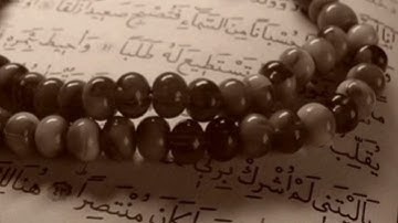 سورة الحجرات _ محمود عبدالحكم
