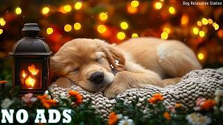 24/7 Hours for Dog Calming Music 🐶🌸 Ease Separation Anxiety 🎶 Help Dogs Sleep Deeply 💤 No Ads