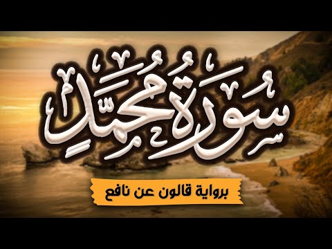 سورة محمد كاملة ومكتوبة برواية قالون عن نافع المصحف المرتل للقارئ أحمد المجيدي