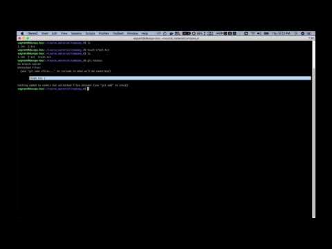 【Git从入门到精通】使用.gitignore文件忽略特定资源