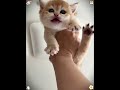 #pov #funny #comedy #skit #short #viral