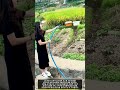 초소형 펌프로 논밭에 물대는 방법 #worker #workers