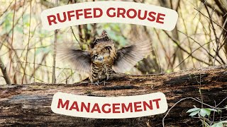 Ruffed Grouse and Forest Management in Virginia