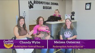 Furry Friends: Redemption Animal Rescue
