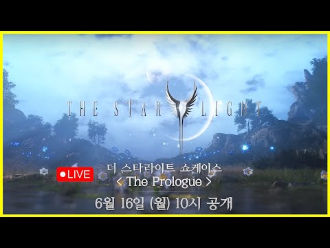 [더 스타라이트] 쇼케이스 완벽 분석 가겠습니다
