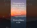 Proverbios 4:26 Examina la senda de tus pies! #Diosbueno #misericordioso #compasivo #justo #amoroso